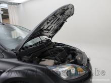 748064.jpg