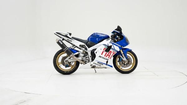 871590.jpg