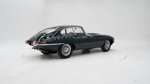 815606.jpg
