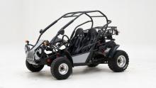 PGO 250 Buggy &#039;2009 CH06569