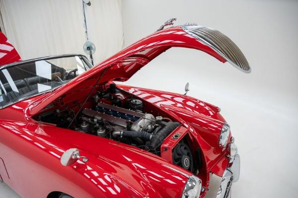 814260.jpg