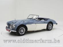 Austin Healey 100/6 BN4 &#039;59 CH4084
