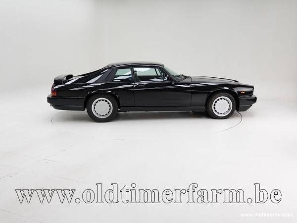 764256.jpg