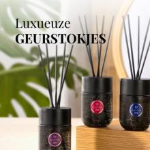 https://glantier.online.nl 