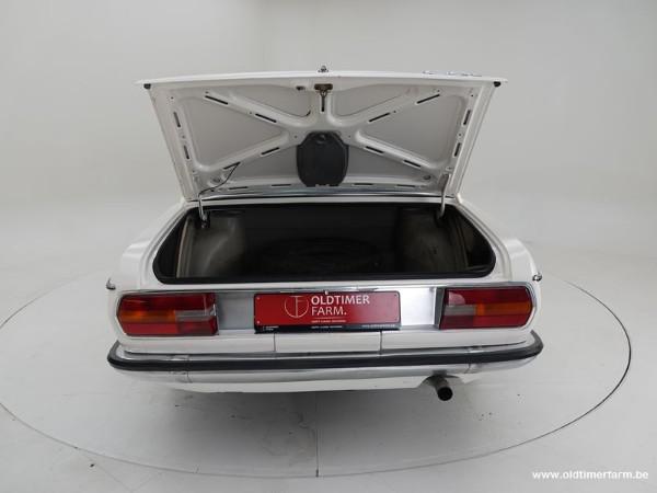 730185.jpg