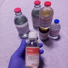 Koop Nembutal Oral-oplossing voor zelfmoord.  