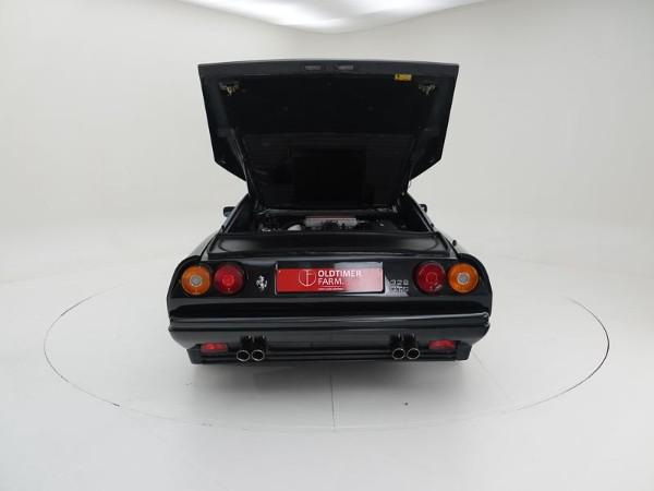 805677.jpg