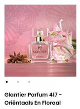 https://glantier.online.nl 