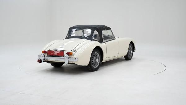 796454.jpg