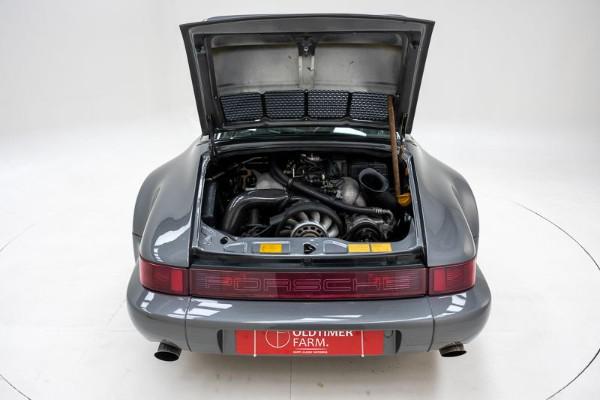 799042.jpg
