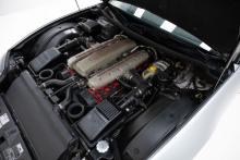 873037.jpg